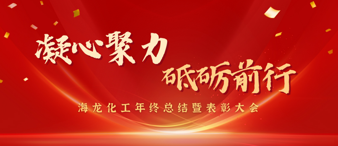 表彰 | 凝心聚力，砥礪前行，海龍化工年終總結(jié)暨表彰大會(huì)圓滿舉行